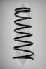 SPIDAN 85028 Coil Spring